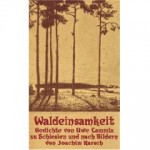 waldeinsamkeit